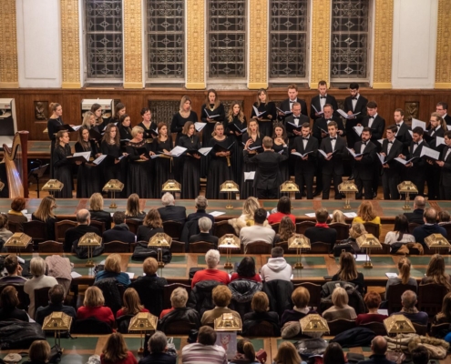 Author Vedran Metelko