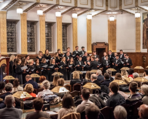 Author Vedran Metelko