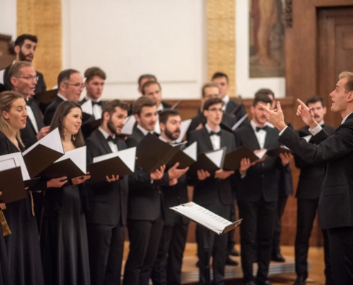 Author Vedran Metelko