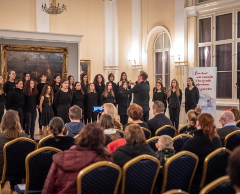 Author Vedran Metelko