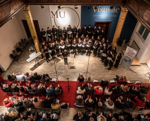 Author Vedran Metelko